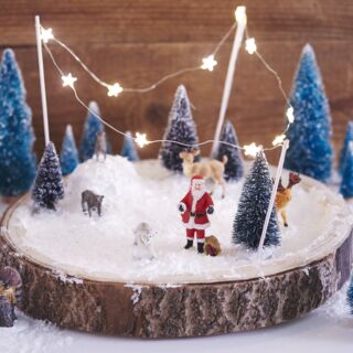 Miniature winter landscape