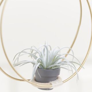 Metal ring with macramé