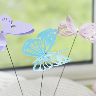 Tracciare le farfalle