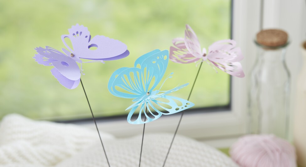 schmetterlinge plotten