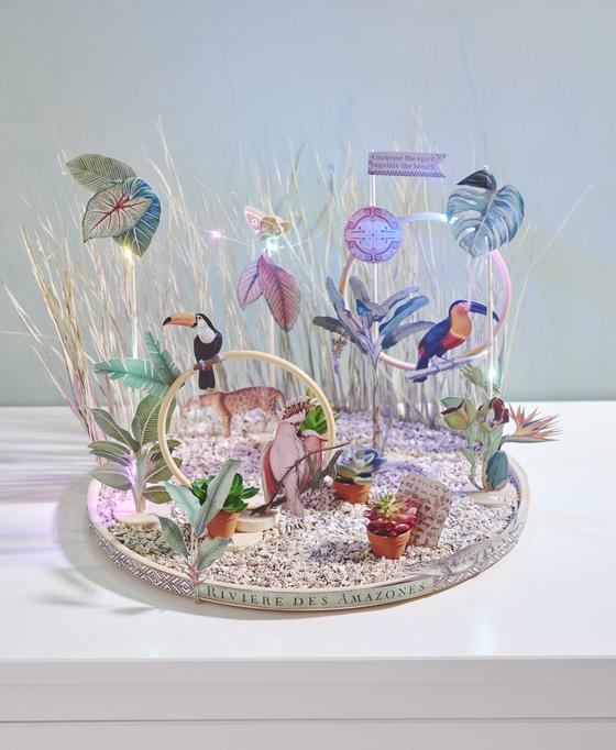 Tropischen Miniatur Dschungel Amazonia selbst gestalten