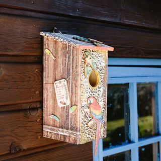 Cassetta nido Amazonia