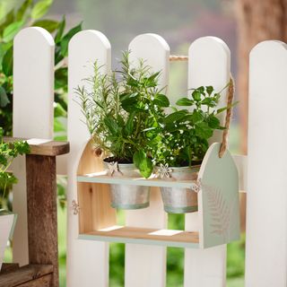 Appendiabiti per piante da esterno