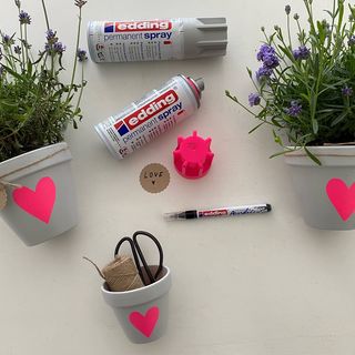 Vasi di fiori con accenti neon