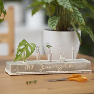 Aufzuchtstation aus Beton gießen