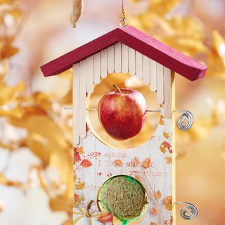 Stazione di alimentazione autunnale per il giardino e il patio