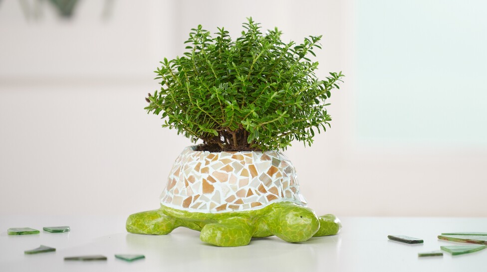 Schildkröte mit Mosaik gestalten