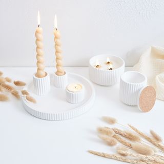 Casting projects with Raysin