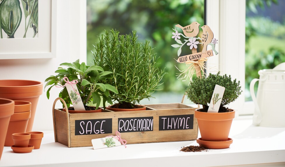 Kräuter Pflanzkasten