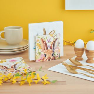 Serviettenhalter mit Serviettentechnik