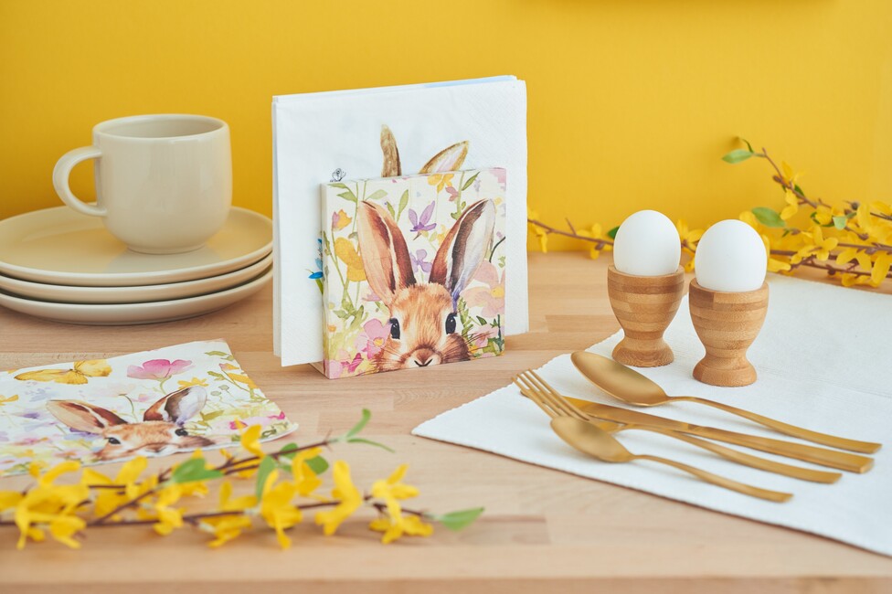 Serviettenhalter mit Serviettentechnik