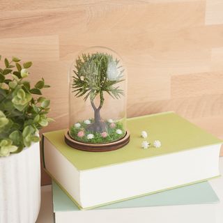 Vaso decorativo a campana in vetro con albero in miniatura