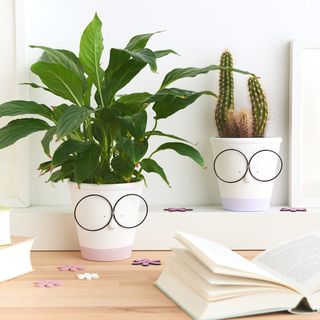 Vasi di terracotta con bicchieri