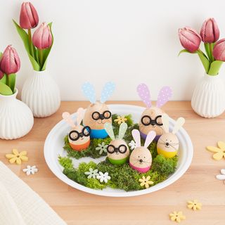 Simpatici coniglietti con gli occhiali