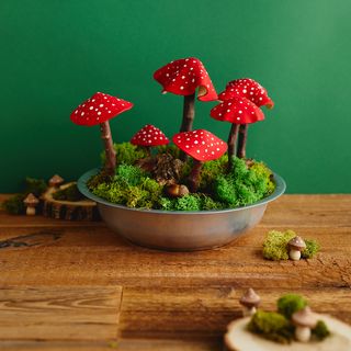 Modeling and painting mushrooms
