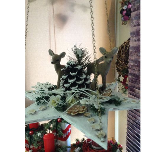 106_gip&ouml;5108_Winterlicher H&auml;ngestern_Kategorie Natur