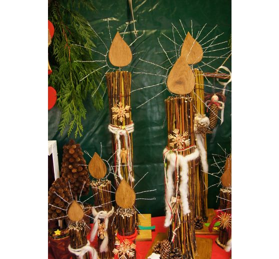 271_Angie_Weidenkerzen_Kategorie Natur