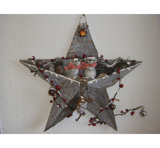 297_Jennyjen_Der M&auml;use Weihnachtsstern_Kategorie Natur