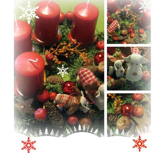 313_rotstern2303_Elche in Klassischer Natur _Kategorie Klassisch