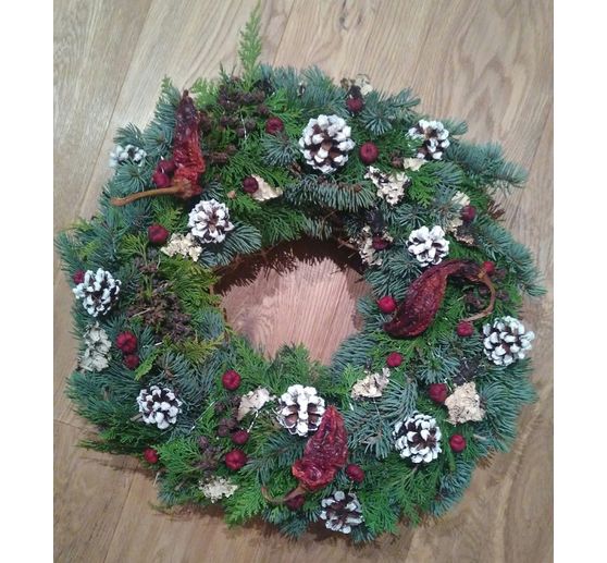 317_Corinne_Wald und Co_Kategorie Natur