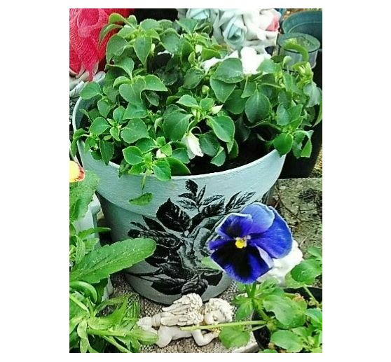 50_Lieschen_Rosentopf