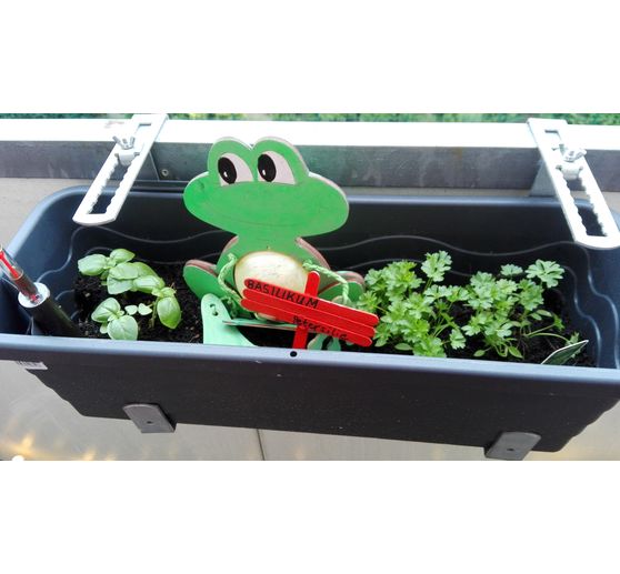 88_krisi_Kr&auml;utergarten