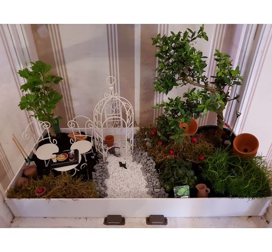 95_gloristar56_Mein Minigarten