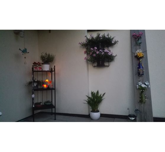 114_Renate_Sommerabendstimmung