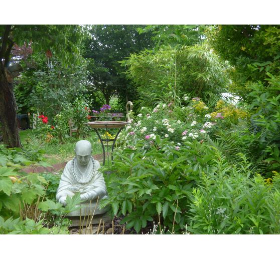 02_Santal54_Mon havre de paix