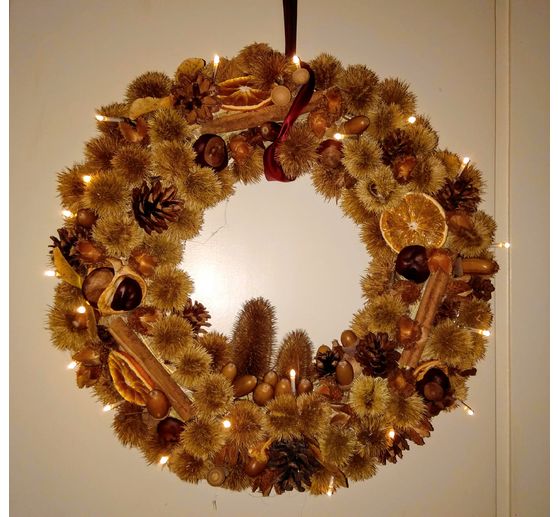 144_ulli_Stachelig aber sch&ouml;n