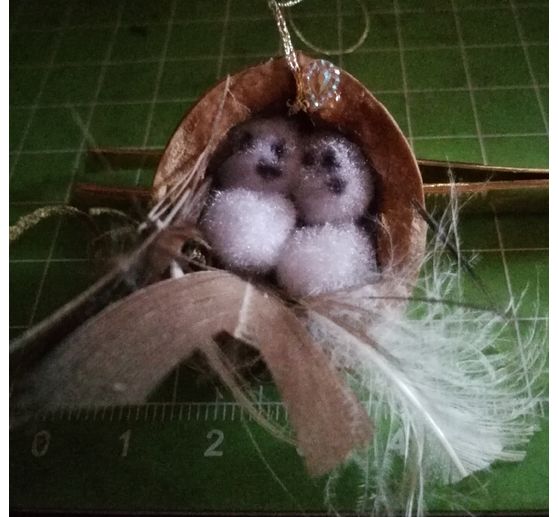 348_chrissi_walnuss schale mit eule und feder