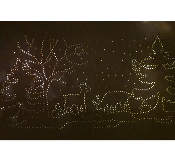 423_Tini83_Lichterbild Winterwald auf Keilrahmen