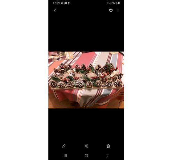 10_Sylvie_Chemin de table