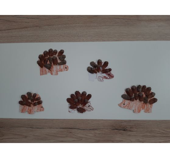 33_Verena_Igel aus Pinienzapfen