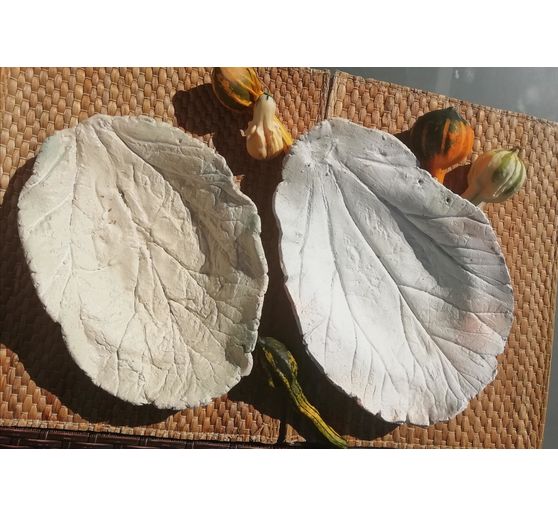 86_Oma Evi_Rharbarberblatt mal anders