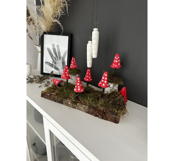 102_2Papas f&uuml;r Keks_Fliegenpilze aus Eierkartons