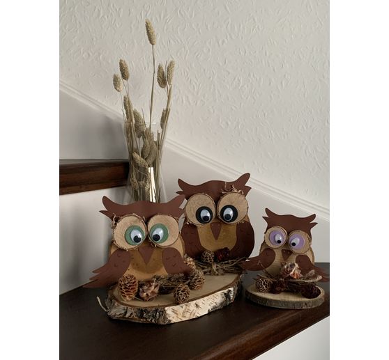 123_Johanna_Eulen-Familie