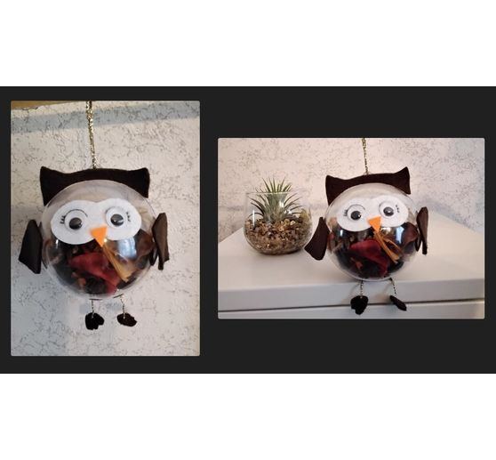 170_Lindsay_Chouette d'automne.jpg