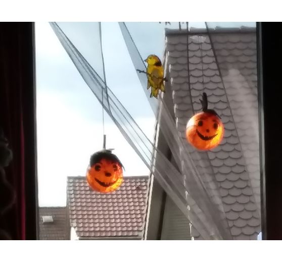 182_Bastelbabs_Halloween K&uuml;rbisse f&uuml;rs Fenster.jpg