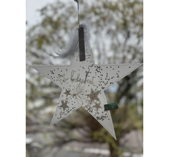 296_Anke_Weihnachtsstern