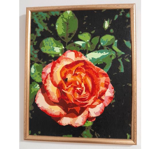 183_Rosi_Rose in meinem Garten