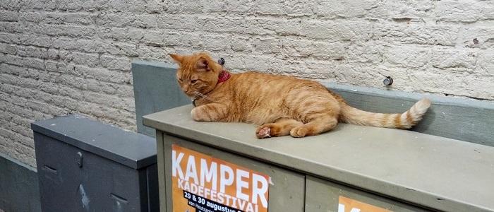 Kampen Crea-Spektakel 2014 Kampen Crea-Spektakel 2014