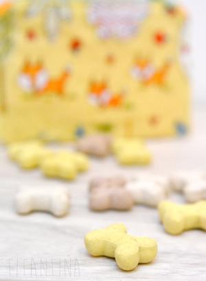 Leckerlitasche nähen Tutorial Leckerlitasche nähen für den Hund mit Anleitung