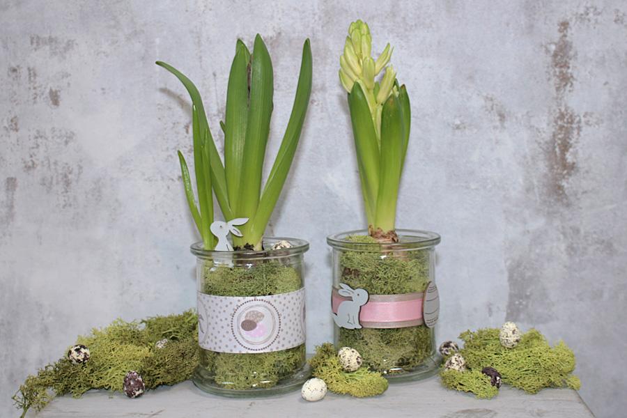 Fr&uuml;hling Im Glas mit Blumen im Glas als Fr&uuml;hlingsdeko