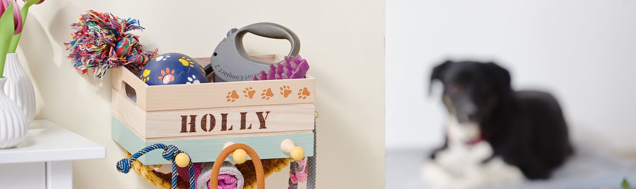 Idee: Aufbewahrung für Haustier-Accessoires