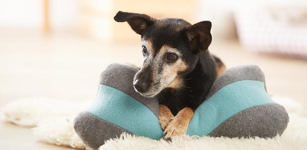 Knochenkissen nähen