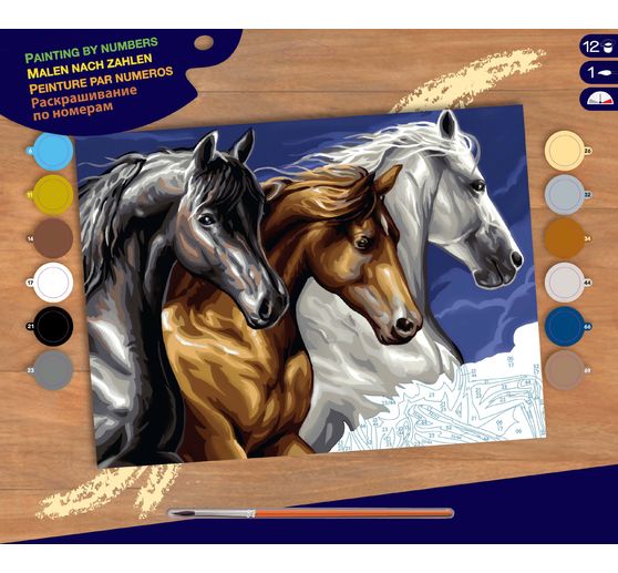 Painting by numbers "Wild Horses"