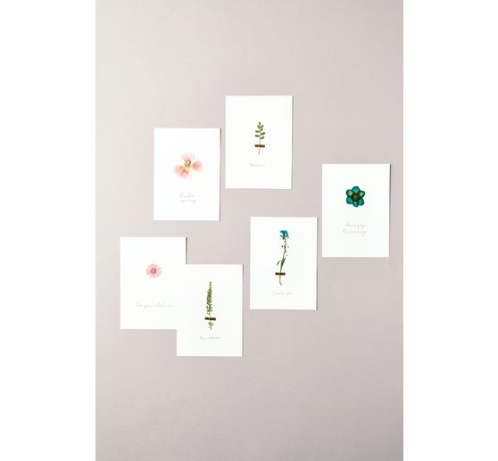 Rico Design Mix Set pressed flowers "Orange Turquoise"