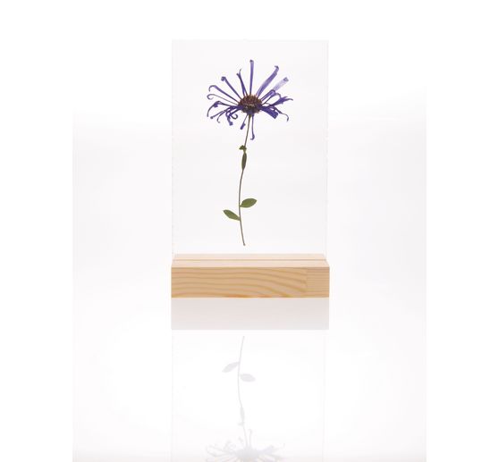 Rico Design wooden stand with double acrylic disc, 10 x 15 cm