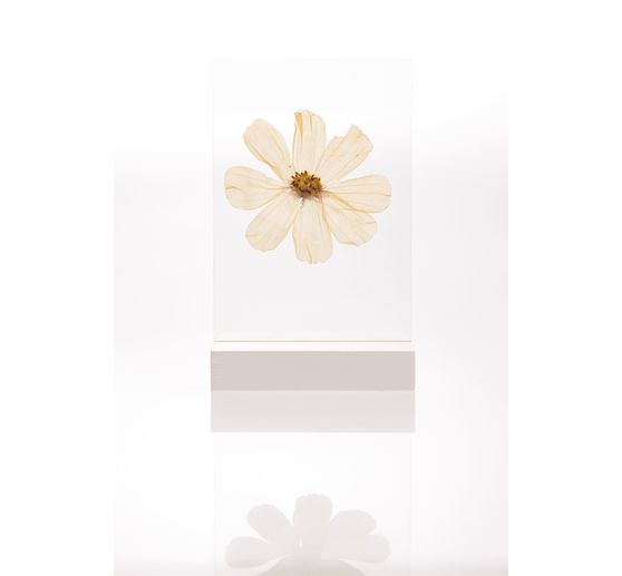 Rico Design wooden stand with double acrylic disc, 10 x 15 cm